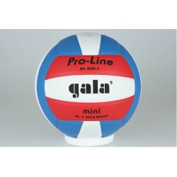Volejbalový míč Gala PRO LINE 4051 S