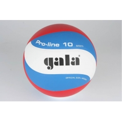 Volejbalový míč Gala Pro Line 5121S