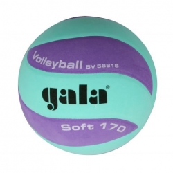 Volejbalový míč Gala TRAINING 5041 S bílý