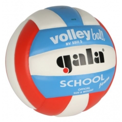 Volejbalový míč Gala SCHOOL 5511 S